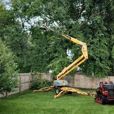 Lawn Pest Prevention in North Middletown, NJ